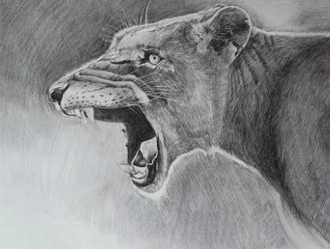 原创素描作品 感兴趣的话点“我想要”和我私聊吧～