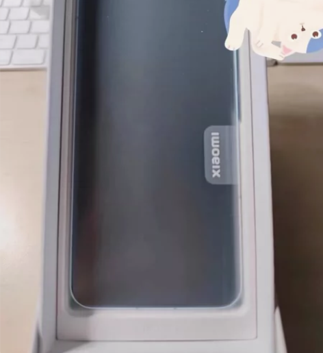 小米13Pro(12+256) 成色:9....
