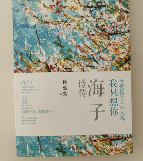 海子诗传 京东购入正版图书,只看过一次...