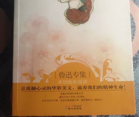 朝花夕拾  《格列佛游记》围城   红岩 ...