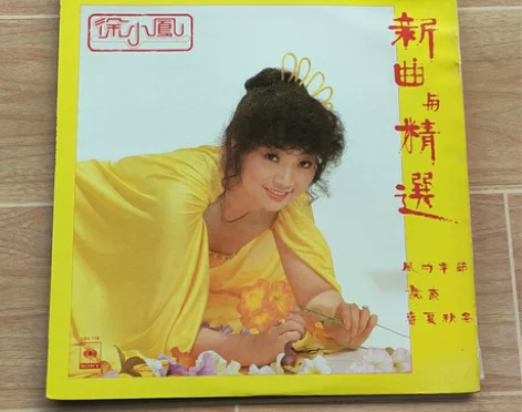 徐小凤   新曲与精选   黑胶唱片 有歌...