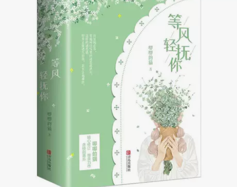 正版等风轻抚你上下册等风热吻你唧唧的猫青春...