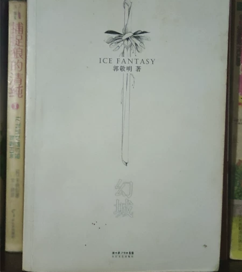 现代小说，幻城，小时代13，命运之轮等，1...