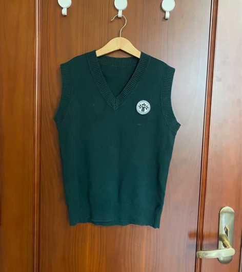 杭州绿城育华亲亲学校学校校服 针织背心 型...