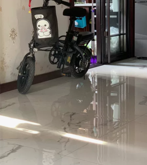 飞鸽电动车，已换高质量大电瓶，续航65公里...