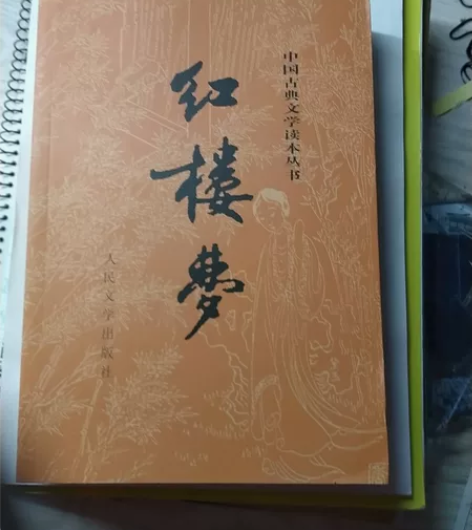 孩子不要了不要了红楼梦下册六十一回开始 感...