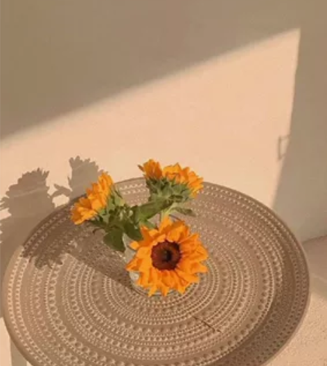 初中政治课外补习，初一-初三，中考，价格低...