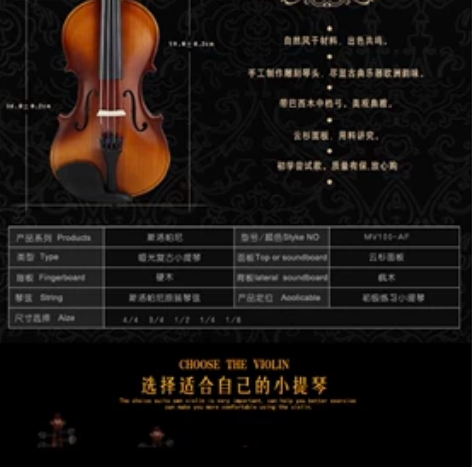 斯洛帕尼标准型小提琴 3/4 因为没有时间...