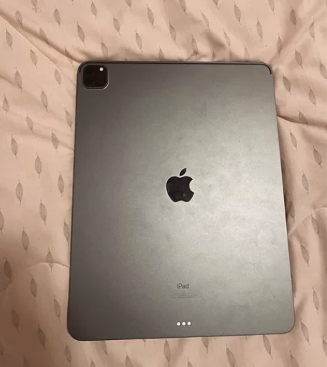 iPad pro 12.9第五代 感兴趣的...
