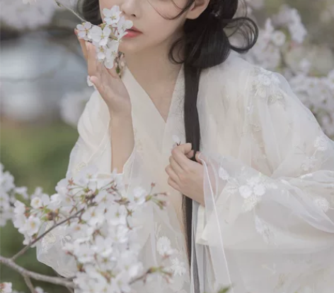 【出】大全套（交领内衬裙+交领纱裙+大袖衫...