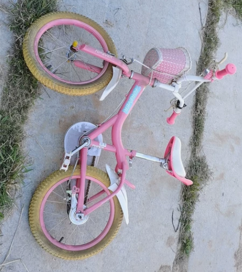 永久儿童自行车14/16寸公主车3-6岁小...