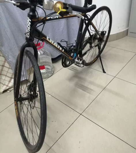 自行车  公路赛  捷安特型号3100。 ...