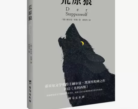 荒原狼 德文直译 赫尔曼·黑塞 著 外国文...
