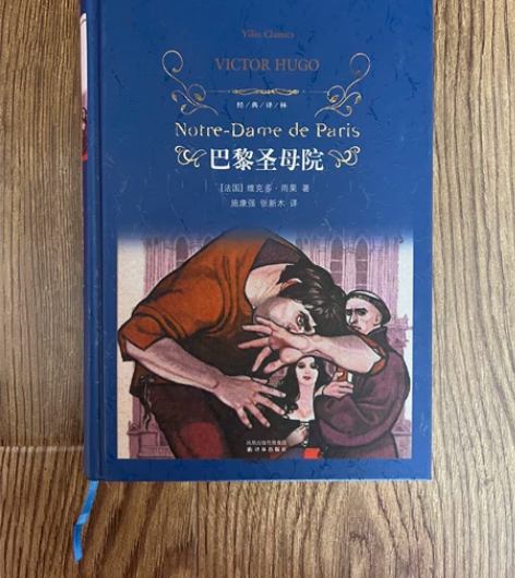 《巴黎圣母院》经典译林 出版社 法国雨果著...