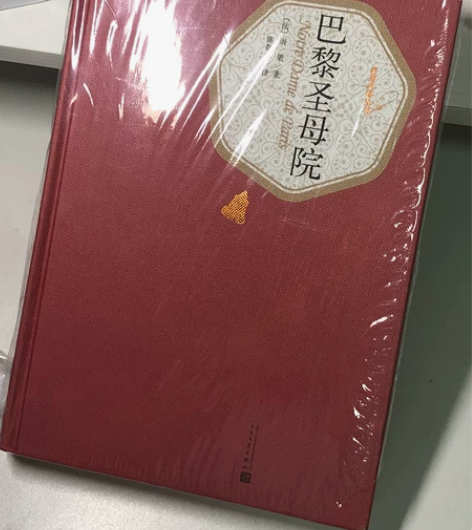 [hot]《巴黎圣母院》 欢迎购买哈～ 是...