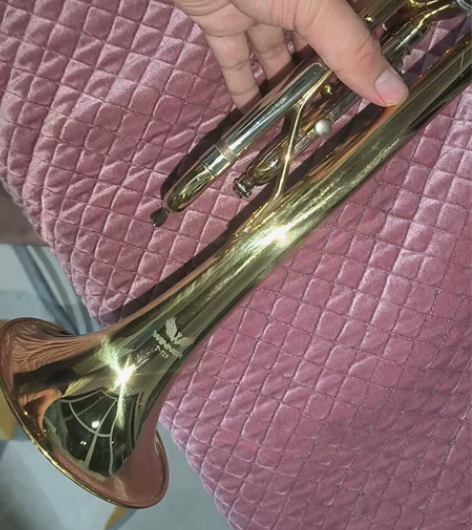 #乐器# 推荐人群 小号初学者 使用感受 ...