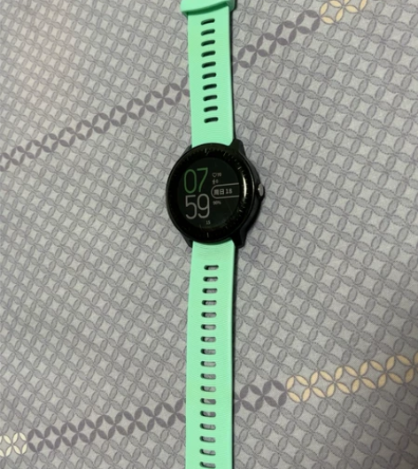 ??佳明（GARMIN）时尚手表 VA3 ...