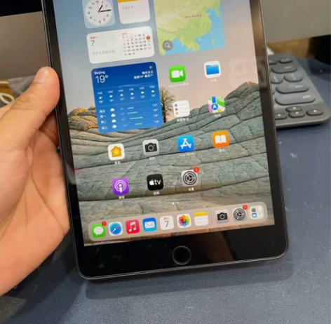 个人自用 ipad mini5 256g ...