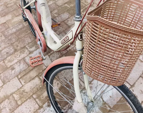 飞鸽24寸变速自行车,21速的,给孩子买的...