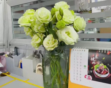 洋桔梗插花鲜花云南直发直批昆明花束基地水养...