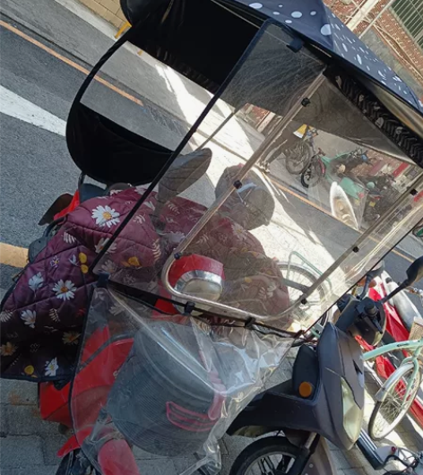 思帝诺新国标48V新款电动车电动自行车小型...