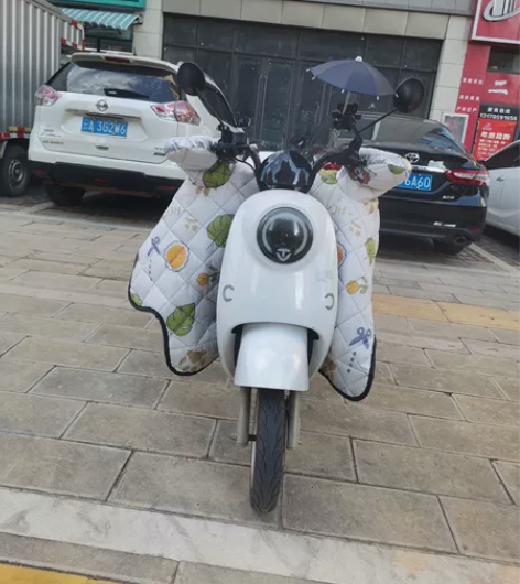 台铃电动车一台，录牌，一年二个月的车龄，九...