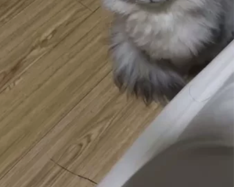 三鑫家园 转租钱已经交了 可以给多住半个月...