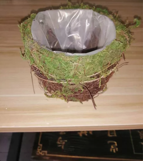花篮有50个左右 感兴趣的话点“我想要”和...