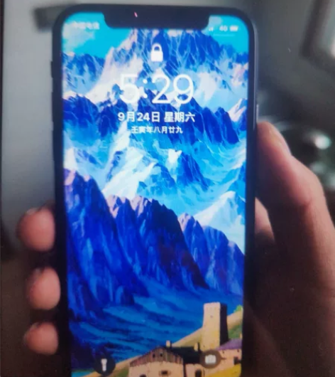 iPhonex 64G 面容一秒解 电池1...