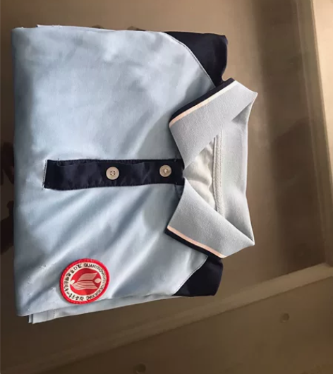 闲置包邮公办学校校服纯棉,质量好,夏季短袖...