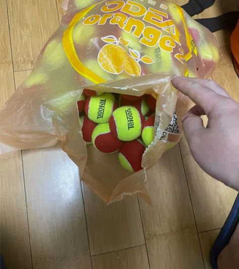 TELOON天龙儿童网球 红球 53个，8...