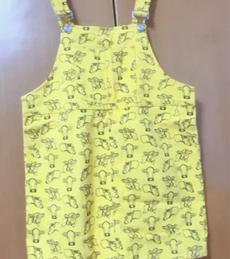 爱依服背带裙，全新的，原先是一套里面有个白...