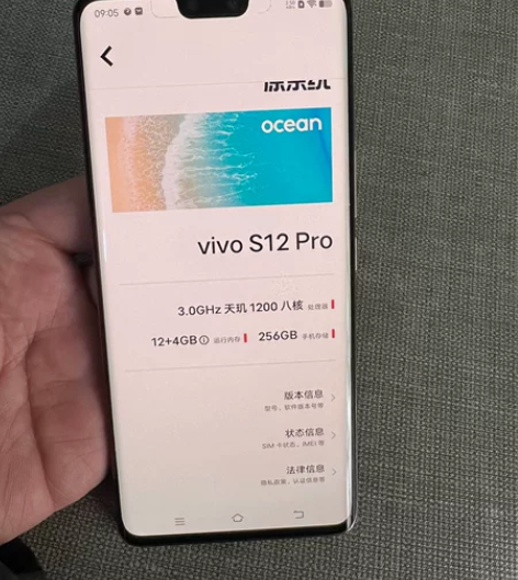 vivo S12Pro 12+256  9...