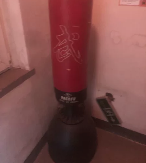 降价拳击小高手加油，配送新手套一副，限沈阳...