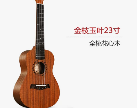 ANDREW/安德鲁 尤克里里，买了只用过...