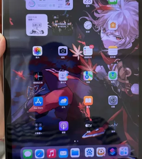 ipad pro 2021 99新 95电...