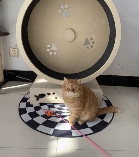 【蜜罐猫】全新高品质猫咪跑步机 出口品质 ...