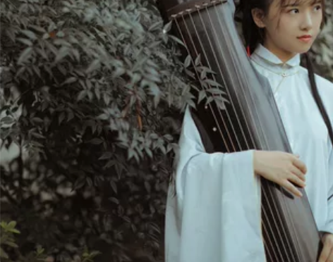 兰若庭 汉服 太平有象 长袄 立领斜襟 明...