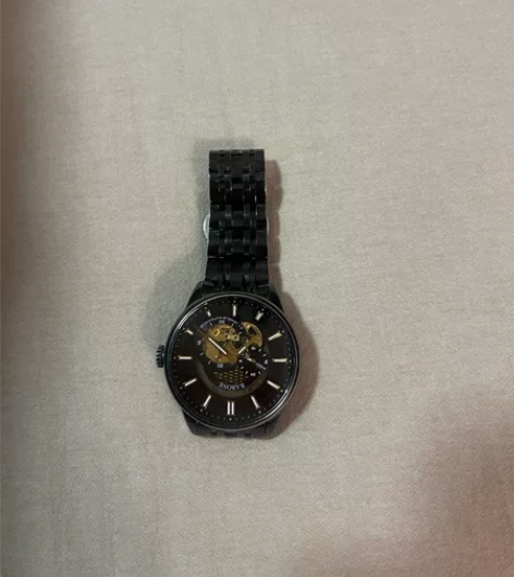 雷诺 机械手表 机械表镂空 正品男士手表镂...