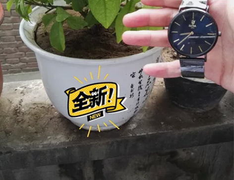 迪塔时尚简约大盘男女石英手表 去年买的一直...