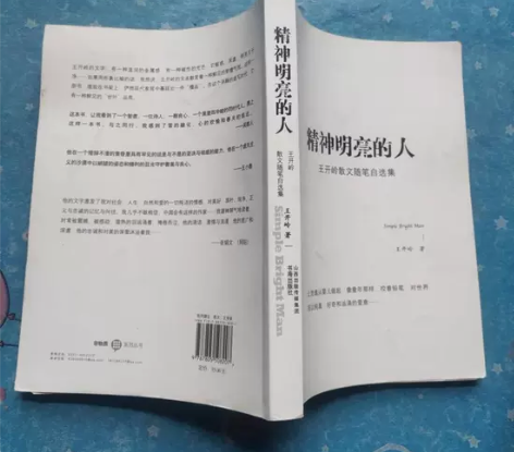 精神明亮的人:王开岭散文随笔自选集 书海出...