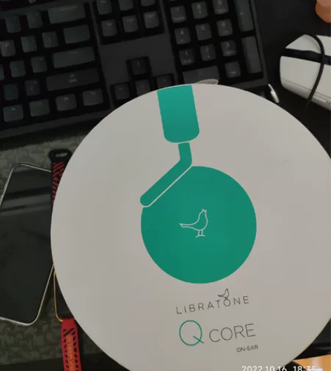 小鸟耳机 Qcore头戴耳机 全新未拆有线...