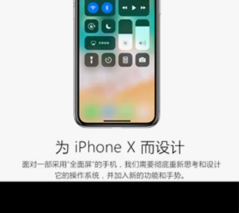 苹果iPhone X手机中国大陆NSA(5...