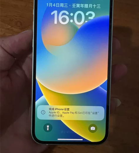 苹果12 128G绿色 国行双卡全网通，成...