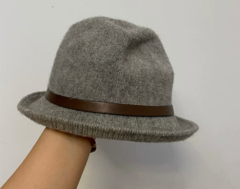 春秋款小礼帽, 只戴过2-3次.忘了啥牌子