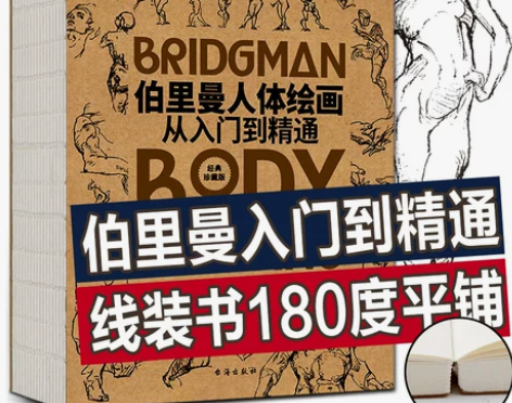 可平铺伯里曼人体绘画从入门到精通 伯里曼人...