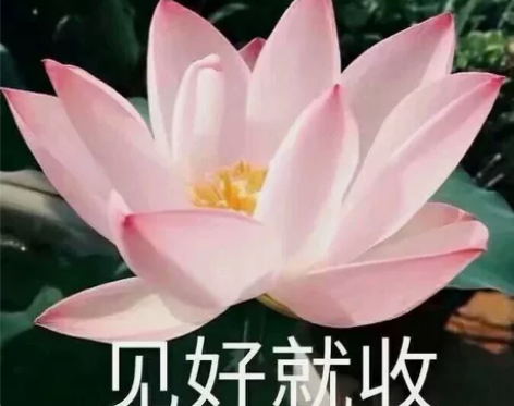 收ccd，是收！！富士、奥林巴斯、卡西欧数...
