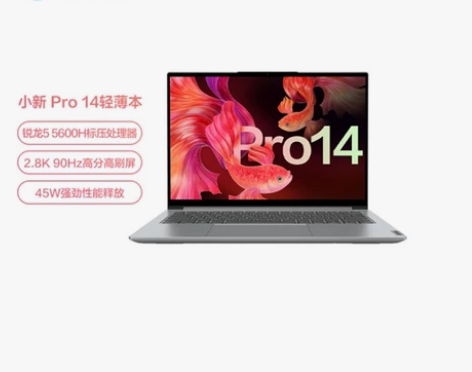 联想小新Pro14 商务轻薄笔记本 R5-...