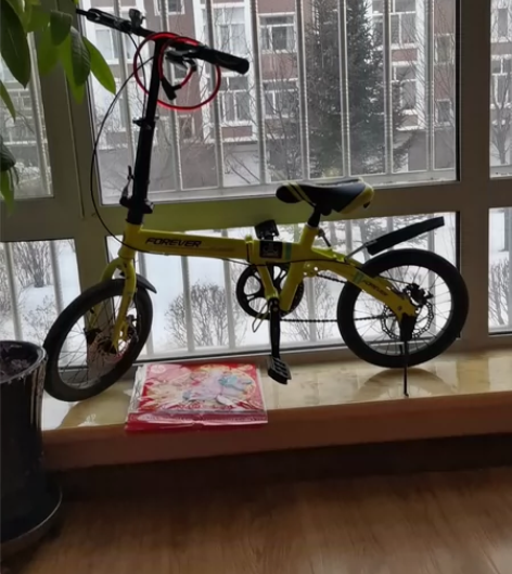 永久自行车    没骑几次 非常新    ...