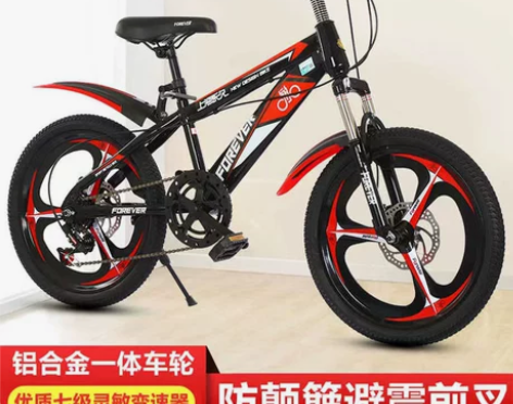 永久自行车 儿童山地18/20寸男女孩小学...